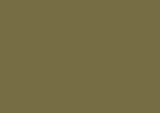 Фасадное полотно на основе ДСП 3000х1215х18 Khaki (глянец) (1081/1 Ф)